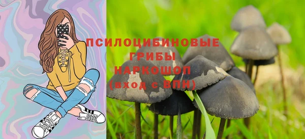 бутират Абаза
