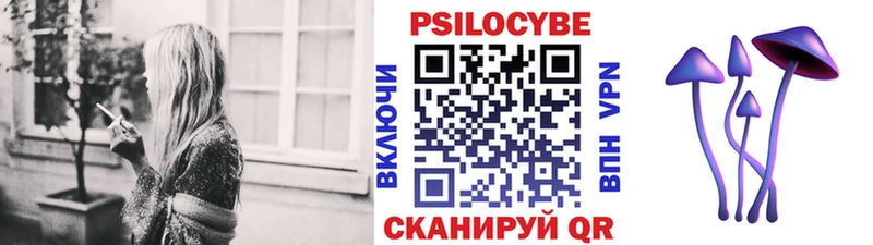 Псилоцибиновые грибы ЛСД  даркнет формула  Новоалтайск 