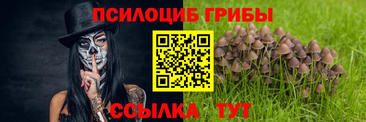 Псилоцибиновые грибы Cubensis  Галлюциногенные грибы Psilocybine cubensis  Новоалтайск  Вход с VPN 